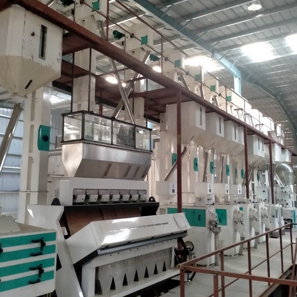 120TPD Complete Rice Milling Line Has Been Finished On Installation In Nepal