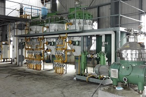 Complete Cooking Oil Production Line