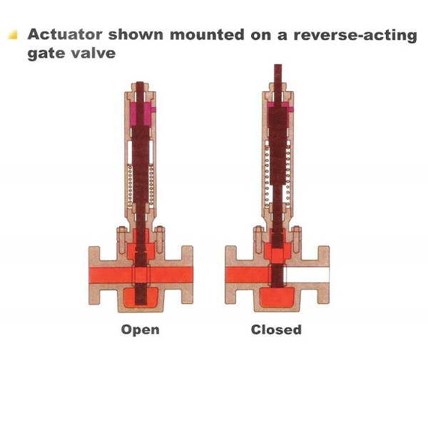 Hydraulic actuator mounted on reverse-acting gate valve