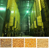 5HGM-50 Rice Paddy Corn Maize Grain Dryer Machine 